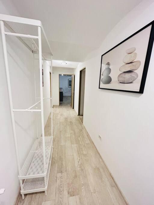 Apartment Vibrant #12lunipebega Timişoara