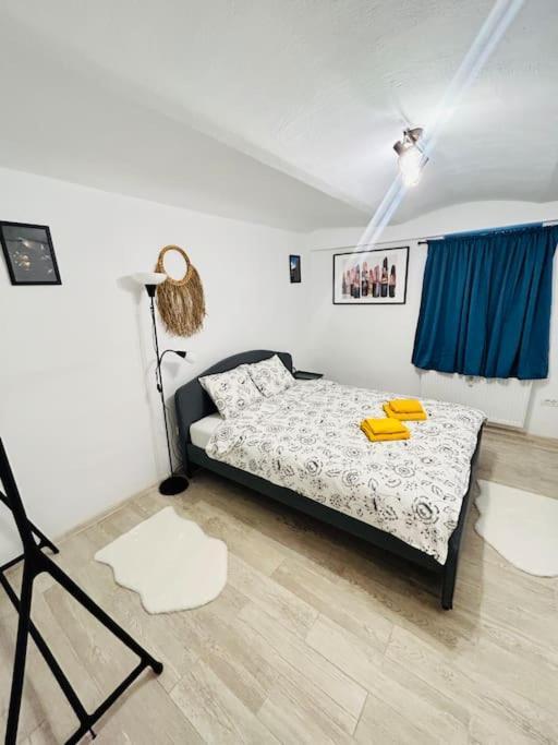 Vibrant #12lunipebega Apartment