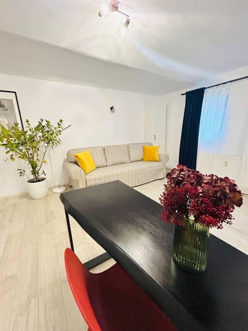 Apartment Vibrant #12lunipebega *