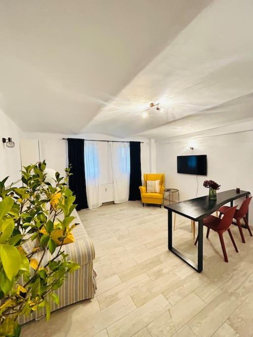 Vibrant #12lunipebega Apartment Timişoara