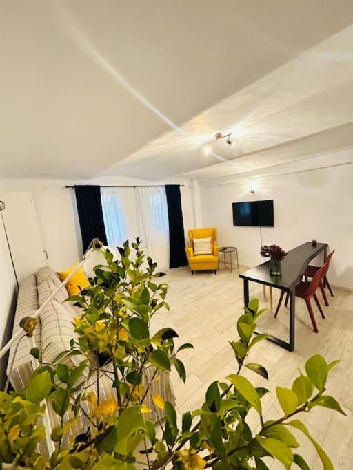 Vibrant #12lunipebega Appartement Timişoara
